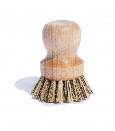 Ecological and efficient wooden pan brush