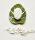 Ceramic, handmade, monstera shaped dish soap, Takaterra