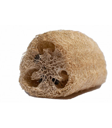 Loofah natural and biodegradable sponge