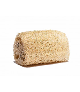 Natural Loofah sponge