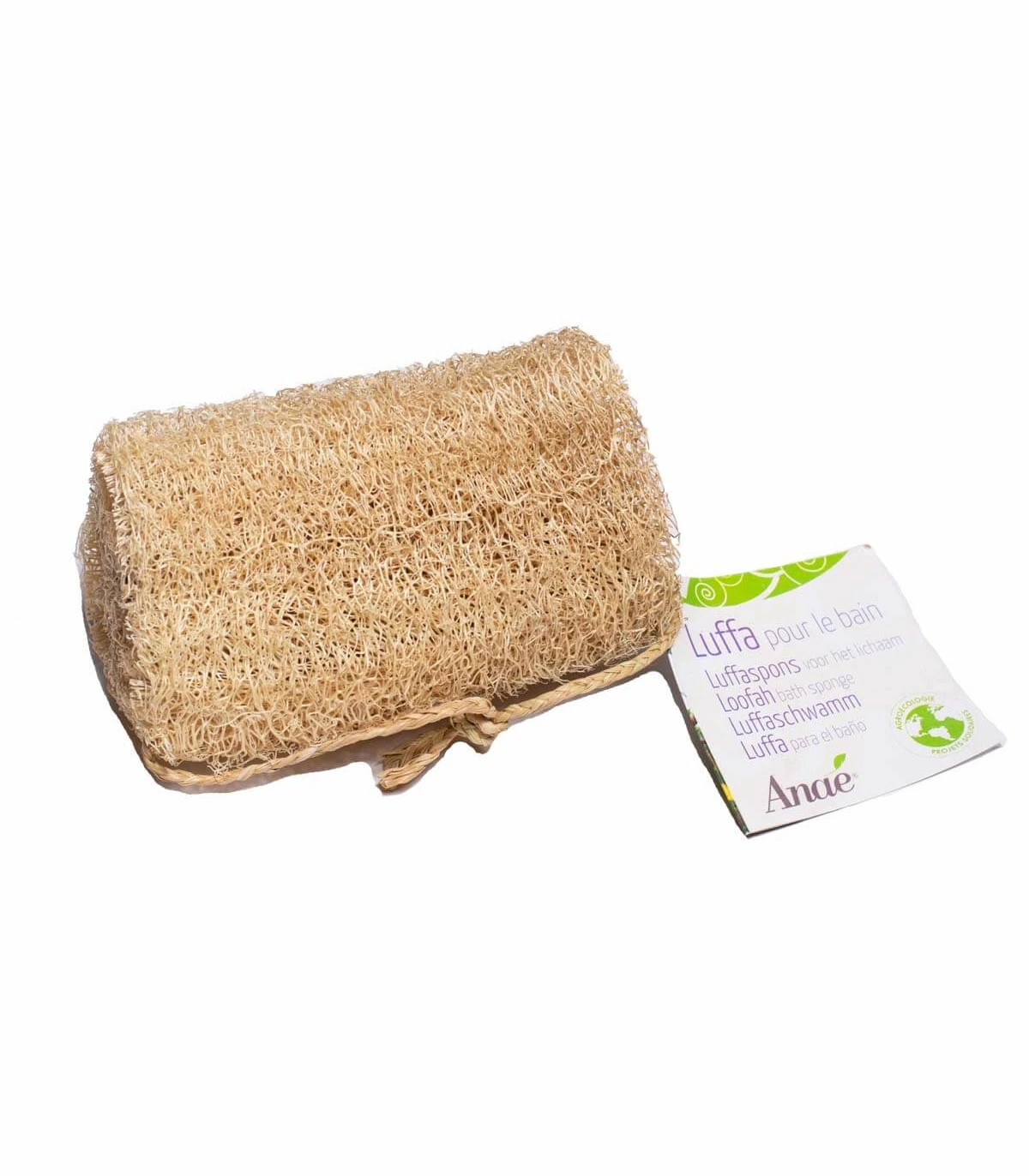 bassin direkte Telemacos Natural Loofah Sponge for an ecological Home, Dishes and Body | Anaé