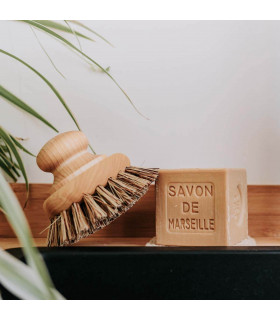 Savon de Marseille pour faire la vaisselle, Marius Fabre