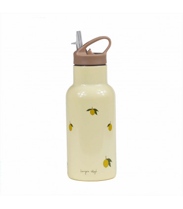 Stainless Steel Insulated Water Bottle - Lemon