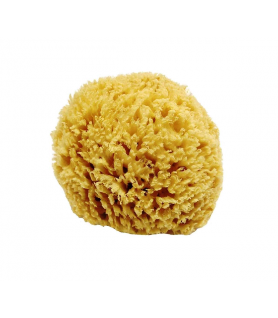Natural sea sponge and luffa for bath and shower to wash face and body ...