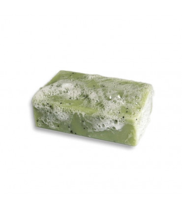 Foamy organic clémence et vivien green colored Le Gecko bar soap 
