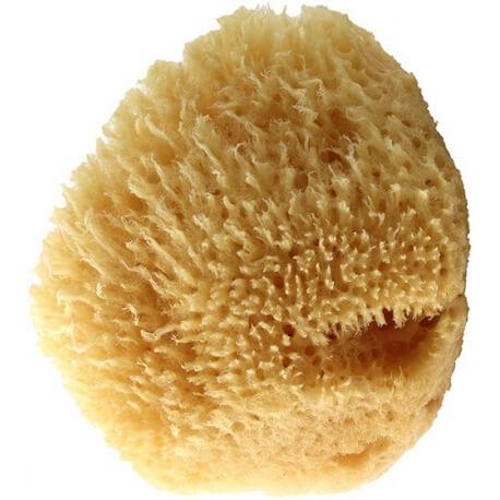 Éponge naturelle de la Mer Égée - Petite ou grande taille à 7,90 € - Anaé  Taille de l'éponge Petite (10x12cm)